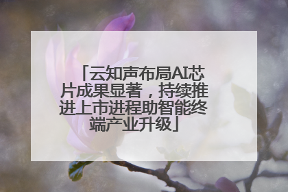 云知声布局AI芯片成果显著，持续推进上市进程助智能终端产业升级